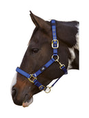 Hy Deluxe Padded Headcollar