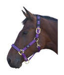 Hy Deluxe Padded Headcollar