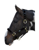 Hy Deluxe Padded Headcollar