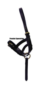Hy Leather Foal Slip