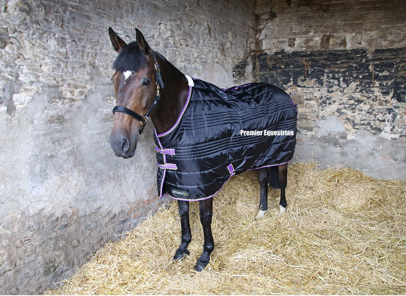 Hy StormX Original 200 Stable Rug