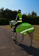 HyVIZ Reflector Mesh Exercise Sheet