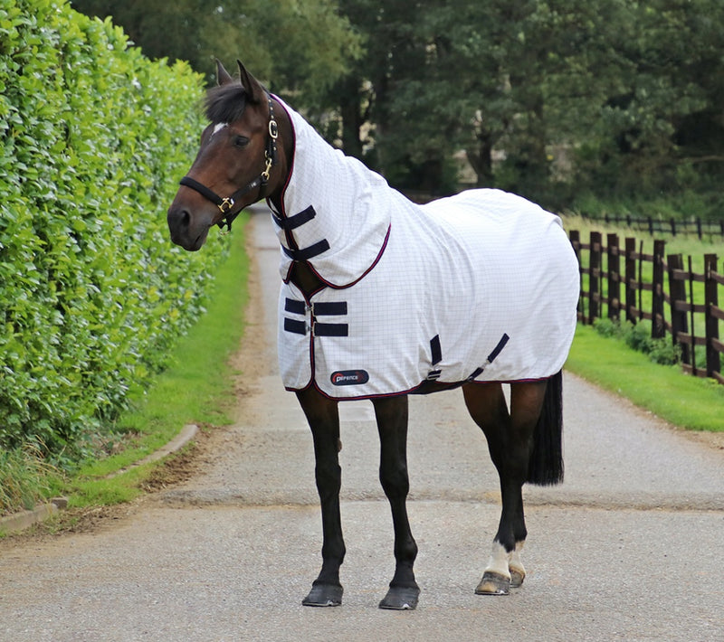 Hy DefenceX System ProteX Summer Sheet - LAST ONE 6'3