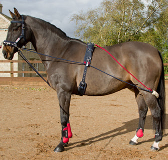 Whitaker Training System
