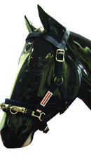 Whitaker Lunge Cavesson