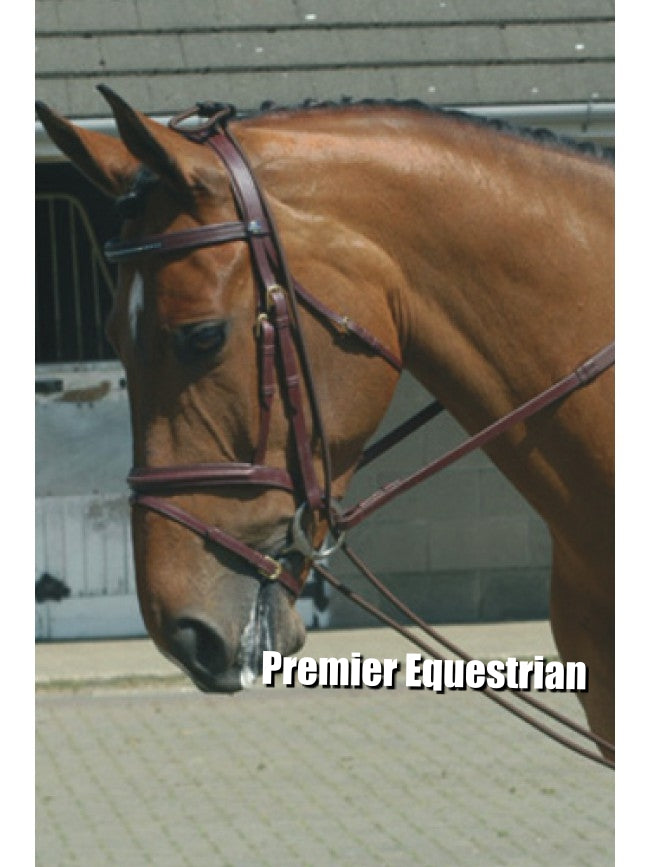 John Whitaker Training Rein