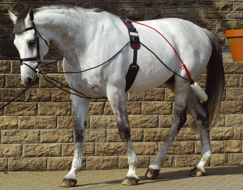 John Whitaker Training System