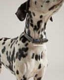 Joules Leather Dog Collar