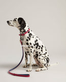 Joules Leather Dog Lead