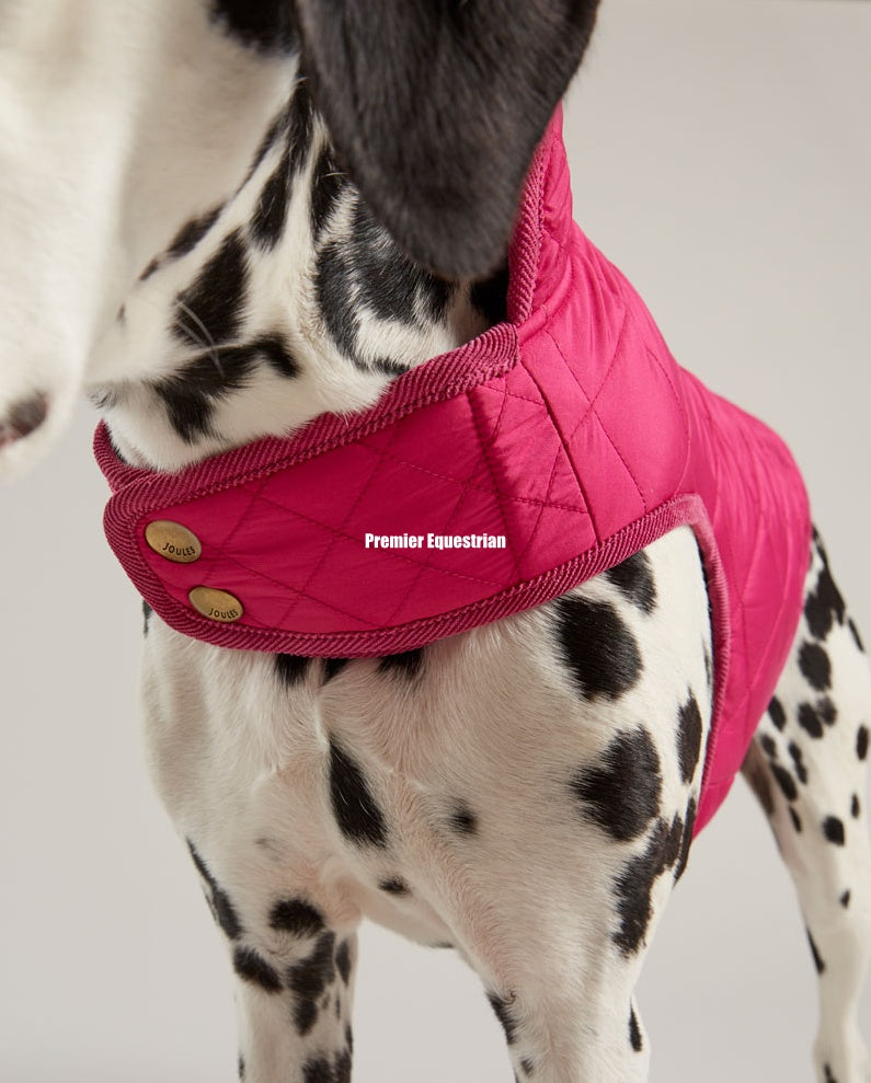 Joules Quilted Dog Coat