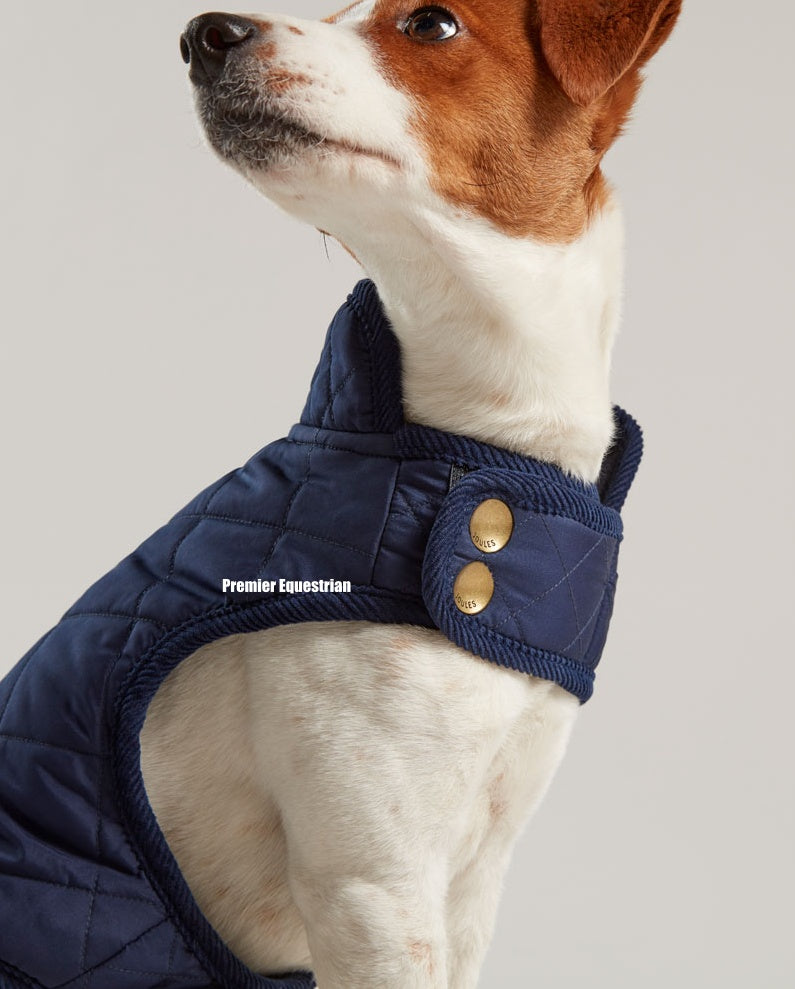 Joules Quilted Dog Coat