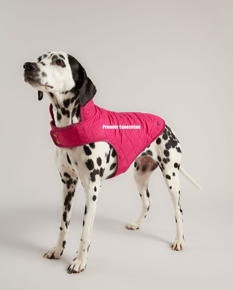 Joules Quilted Dog Coat