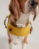 Joules Water Resistant Dog Coat