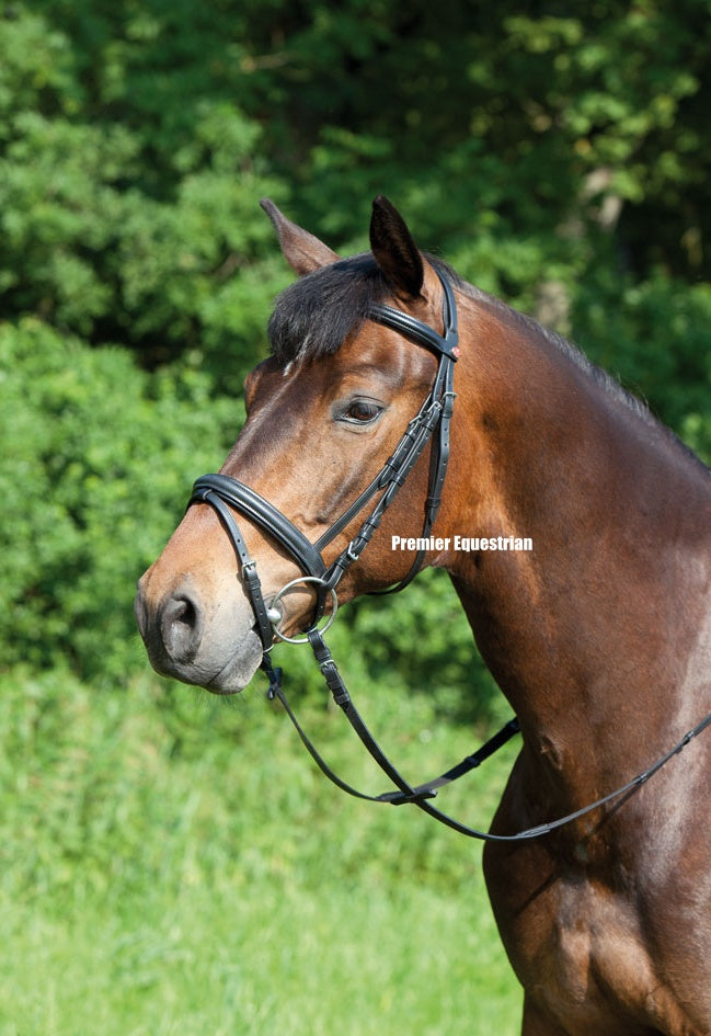 Kieffer Ergonomic Snaffle Bridle