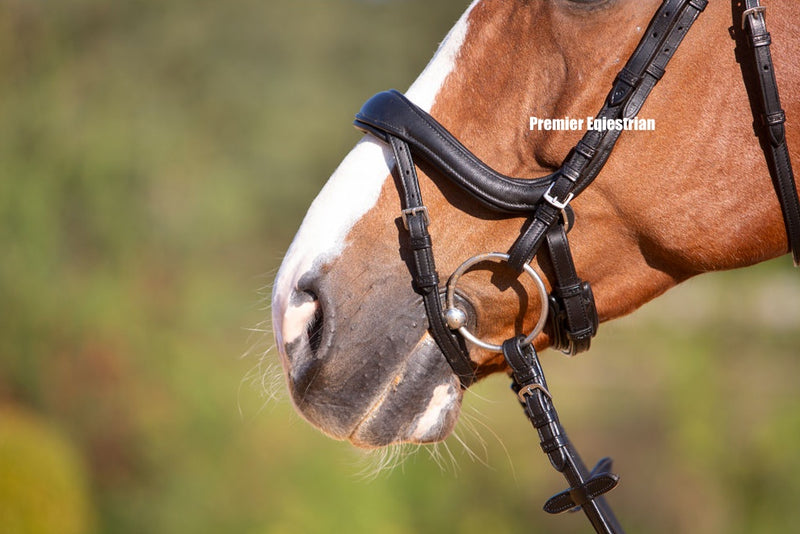 Kieffer Ultrasoft Amy Snaffle Bridle