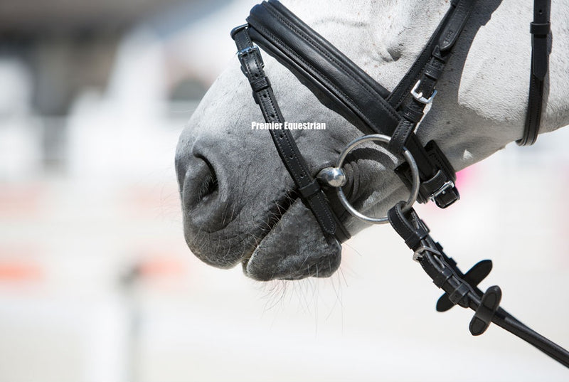 Kieffer Ultrasoft Economy Snaffle Bridle