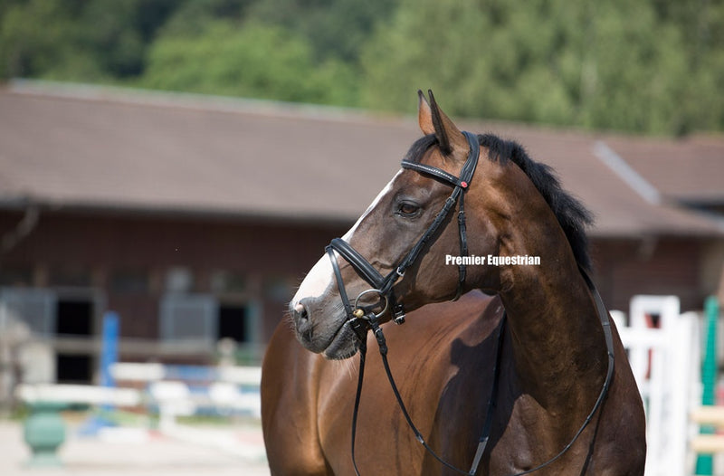 Kieffer Ultrasoft Snaffle Bridle