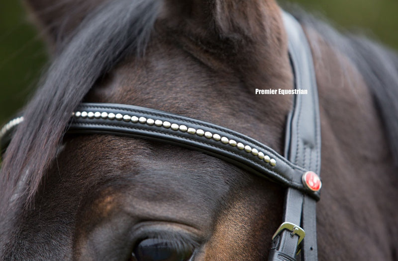 Kieffer Ultrasoft Snaffle Bridle