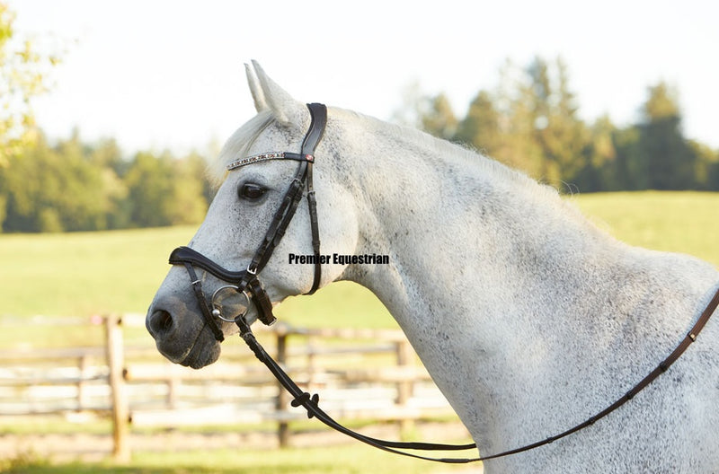 Kieffer Viola Snaffle Bridle