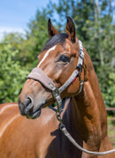 LeMieux Vogue Fleece Headcollar with Leadrope