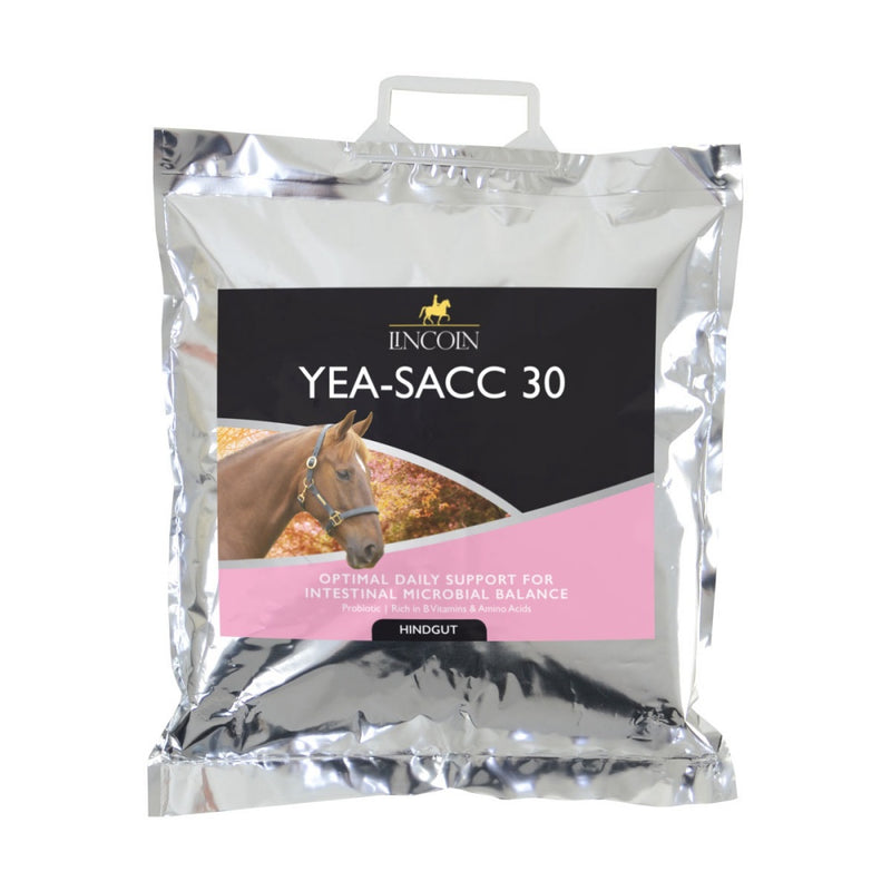 Lincoln Yea-Sacc 30