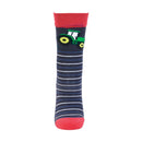 Hy Tractor Collection Socks by Little Knight (Pack of 3)