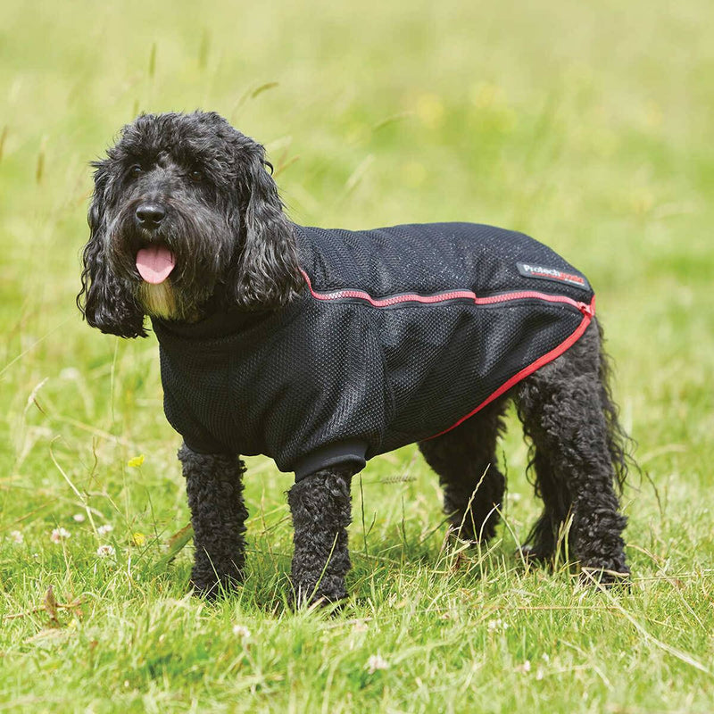 Protechmasta Infrared Dog Coat