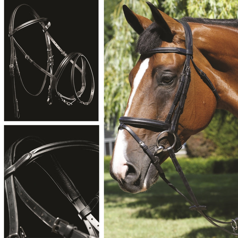 Mark Todd Performance Flash Bridle