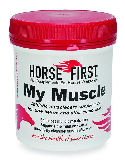Horse First My Muscle 