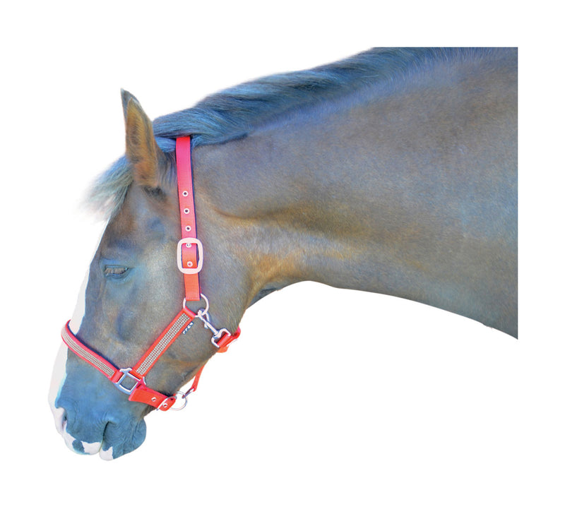 Hy Diamante Headcollar