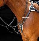 Shires Salisbury Five Point Breastplate