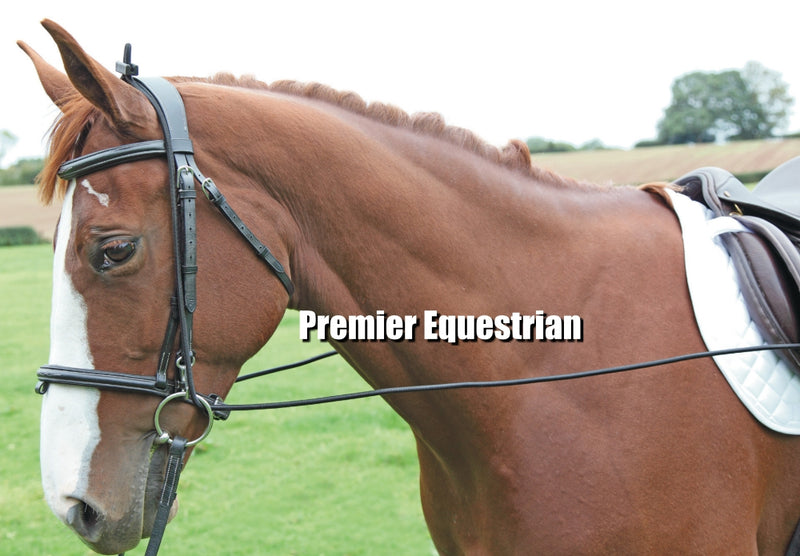 Shires Elastic Training Reins