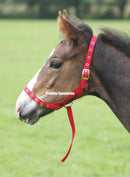 Shires Foal Slip