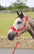 Supreme Products Dotty Fleece Headcollar & Lead Rope