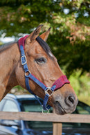 LeMieux Vogue Fleece Headcollar with Leadrope