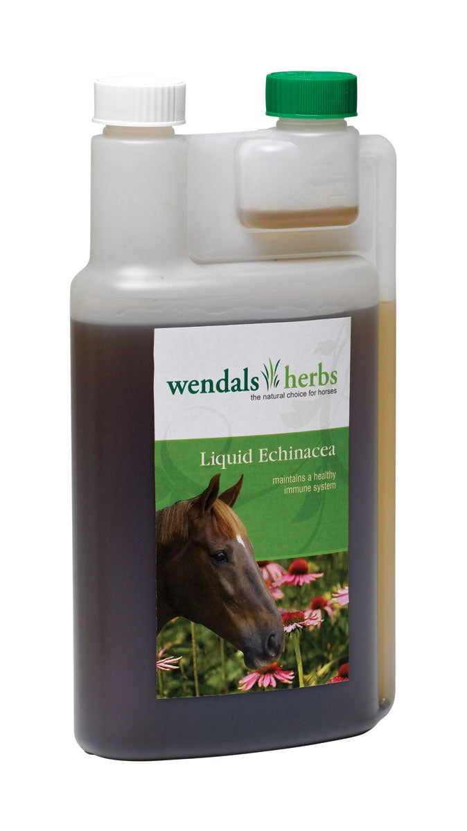 Wendals Echinacea Liquid 1L