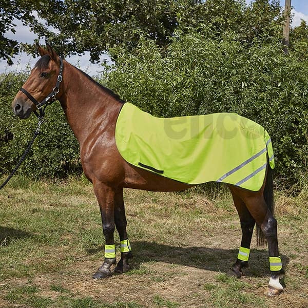 WeatherBeeta 300D Reflective Exercise Sheet - Yellow