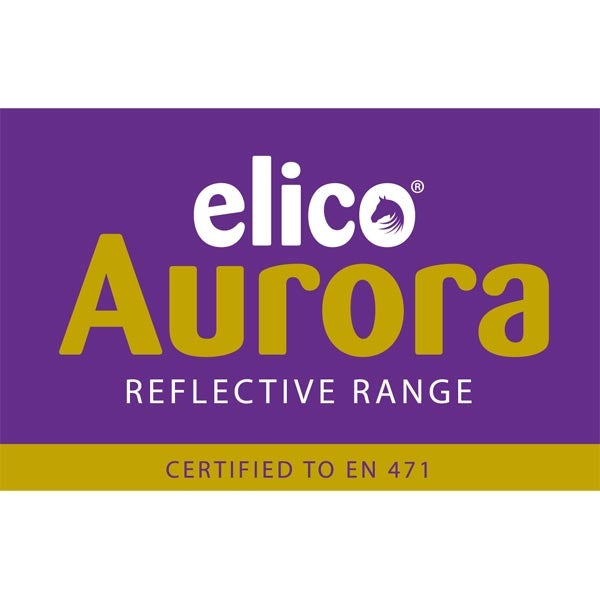 Elico Aurora Reflective Exercise Sheet