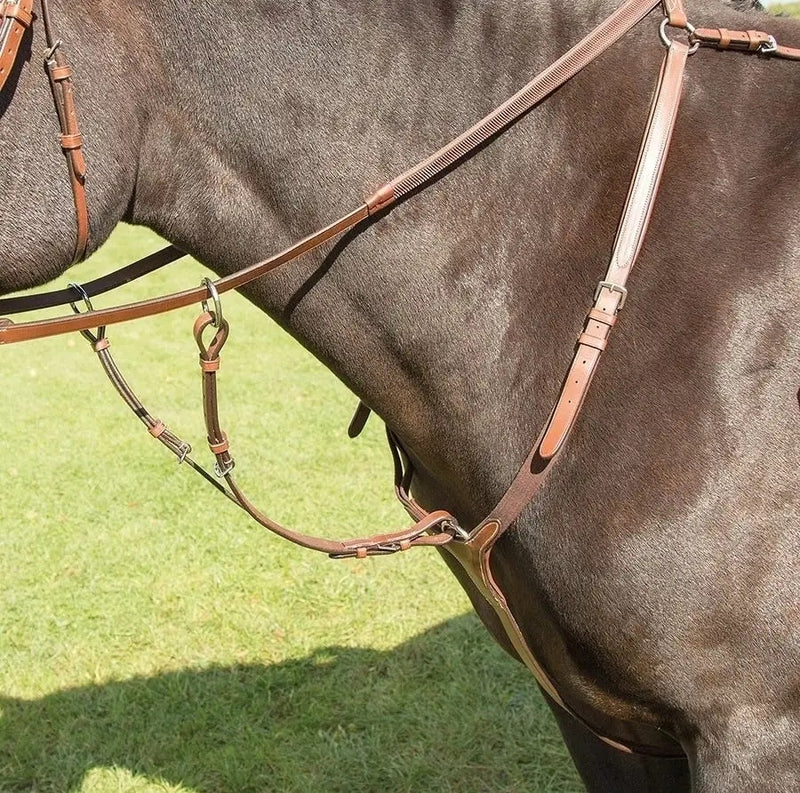 Shires Avignon Breastplate