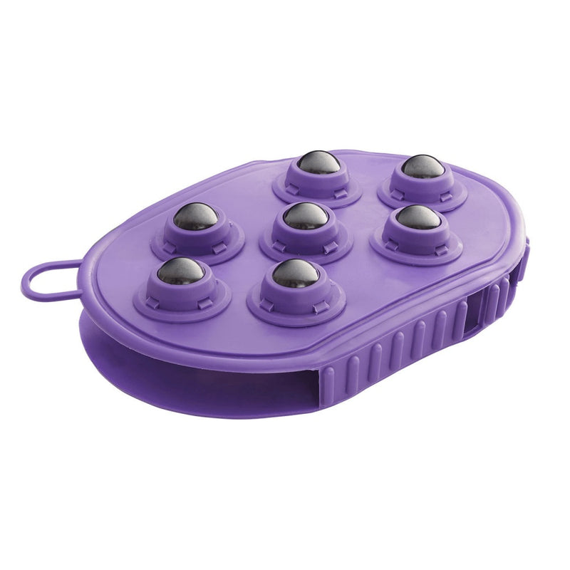 Bitz Magnet Massage Groomer Mitt