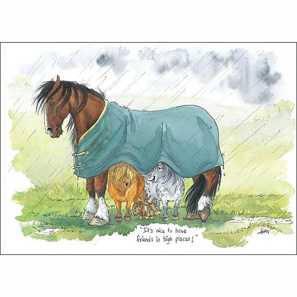 Cartoon Horse Cards - Pack of 6