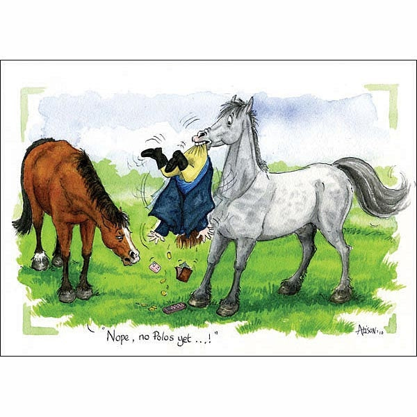 Cartoon Horse Cards - Pack of 6