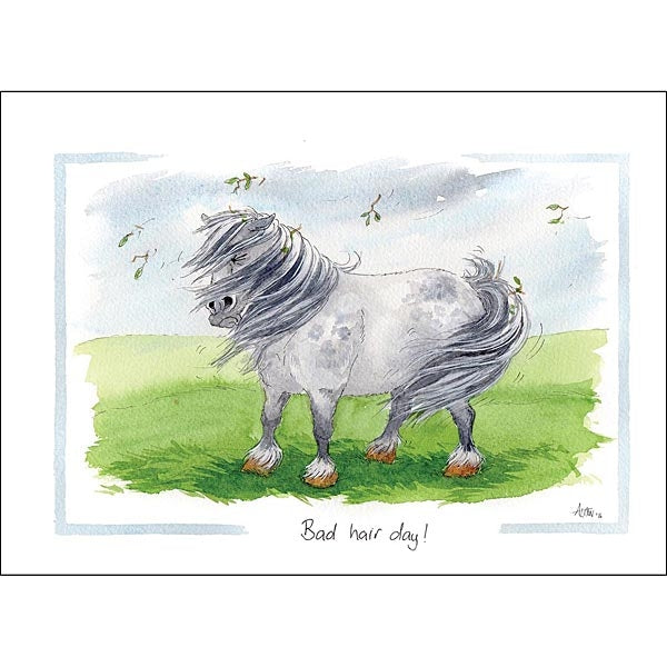 Cartoon Horse Cards - Pack of 6