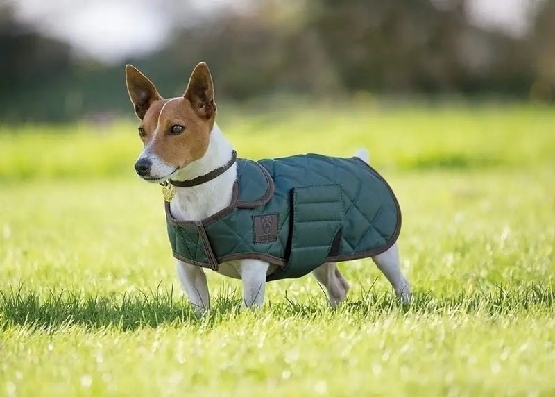 Digby & Fox Heritage Dog Coat