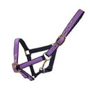 Eclipse Two Tone Headcollar