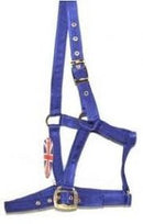 Eclipse Extra Full Size Nylon Headcollar