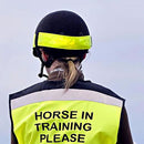 Equisafety Reflective Hi Viz Hat Band