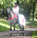 Equisafety Mercury High Visibility Exercise Rug