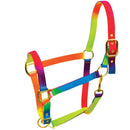 Foal Rainbow Headcollar