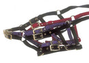 Foal Headcollar